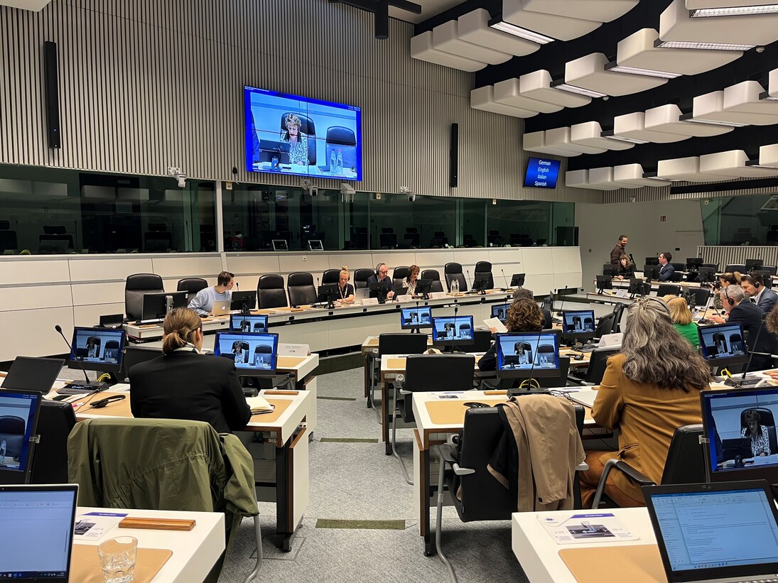 CoRAI Co-Chair María Chivite speaks about the EU Automotive Package.