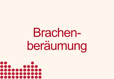 Brachenberäumung