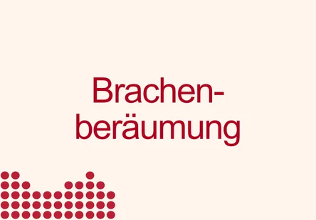Brachenberäumung